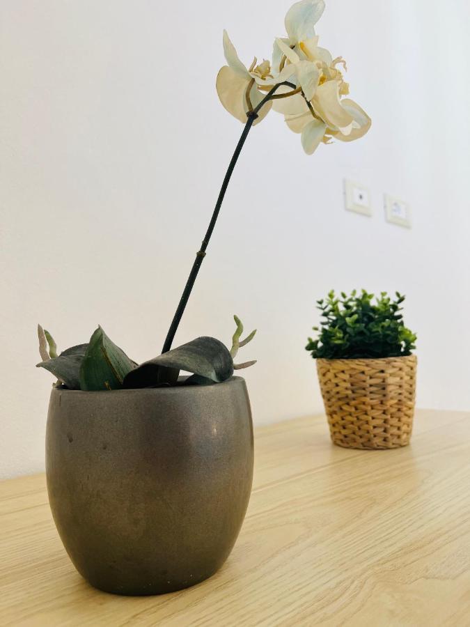A Casa Di Tinny Barbusi エクステリア 写真